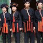 Daison Vietnam 208